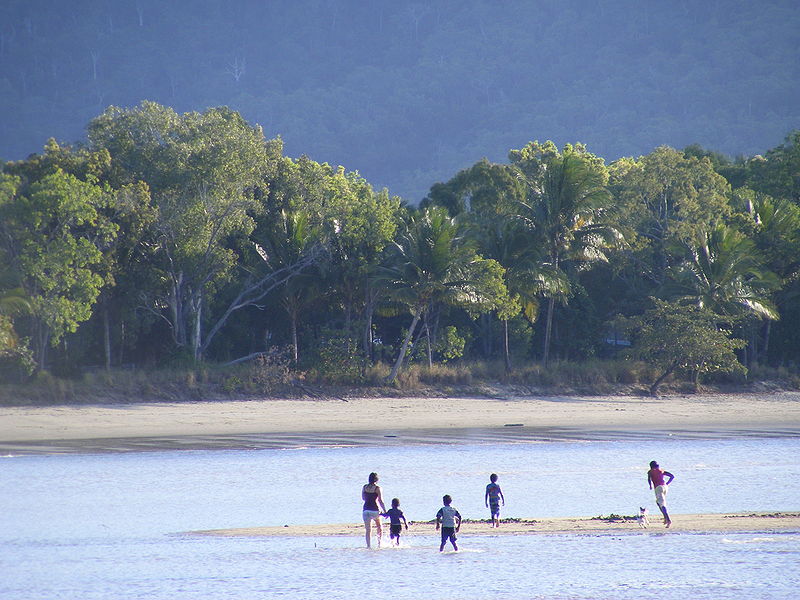 Beach trees in Cairns (Source: http://commons.wikimedia.org/wiki/File:Children_on_tropical_beach.jpg )