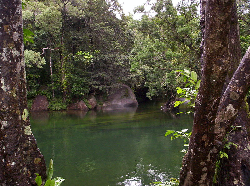 Babinda Creek, a very popular swimming hole.  Source: http://commons.wikimedia.org/wiki/File:BabindaCreek11.jpg 