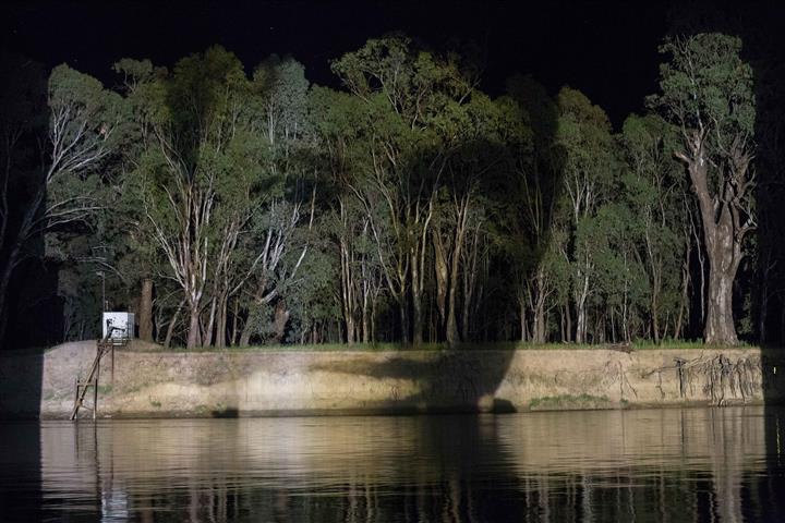 Poet and activist Mary Gilmore, animated by red gums and river bank. Photo: Vic McEwan.