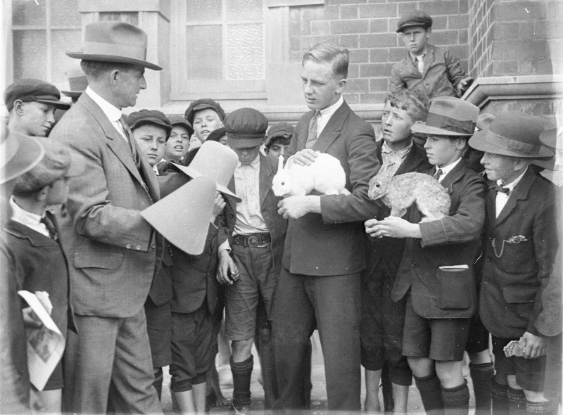 Schoolboys learning about rabbit fur felt hat-making at the Akubra stand at the Australian Manufacturers' Exhibition in Sydney, December 1927. Sam Hood collection, State Library of New South Wales hood_06299