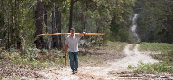 A man walking on a train in bush carrying a long branch on his shoulders