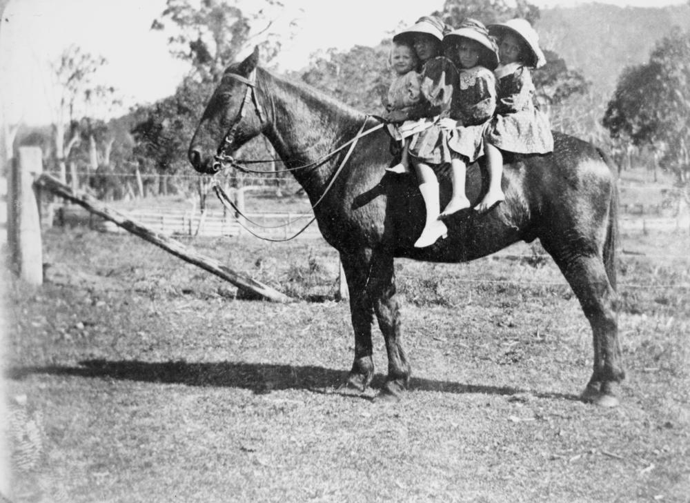 StateLibQld_1_187347_Four_children_on_a_horse_at_Canungra,_1900-1910