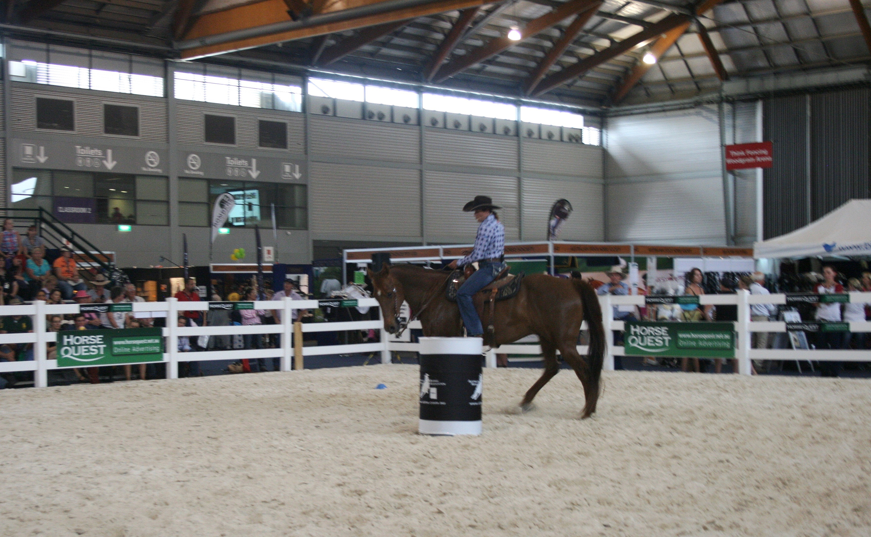 Adele Edwards and 'Rocky' (Rocs Rager) demonstrate some effective training techniques.