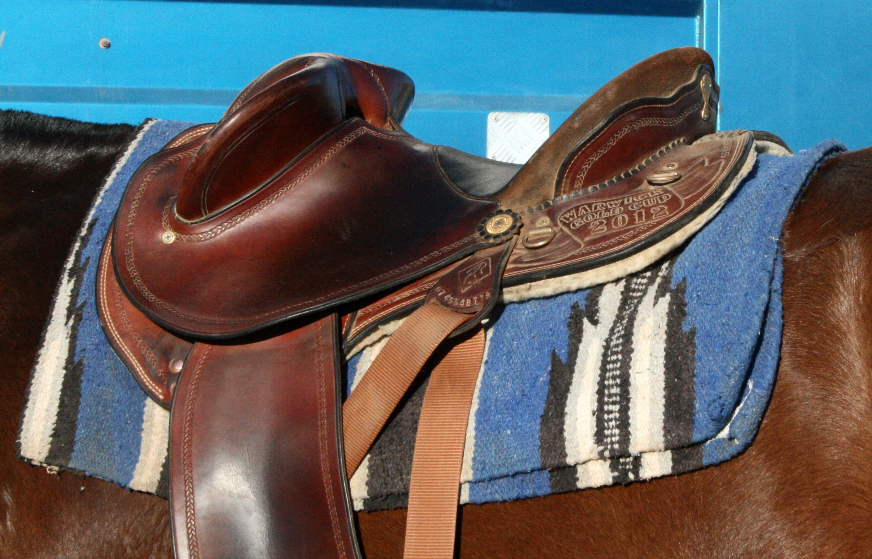 Cool Dust wearing the 2012 Warwick Gold Cup trophy saddle made by Tony Clifford Custom Saddlery.