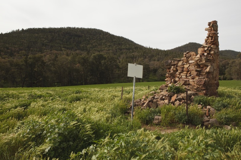 Remains of Goimbla homestead near Eugowra in central NSW. Photo by Jason McCarthy, National Museum of Australia.