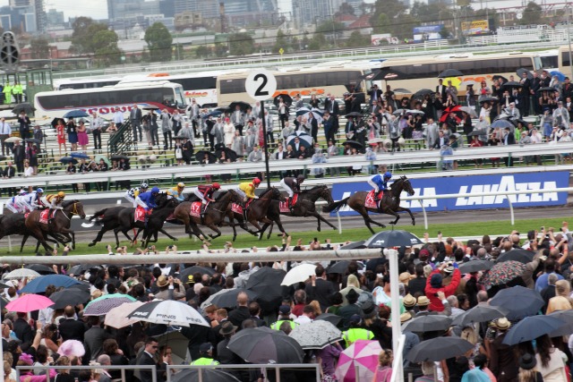 The 2010 Emirates Melbourne Cup field gallops down the straight at Flemington. Photo by George Serras, National Museum of Australia.