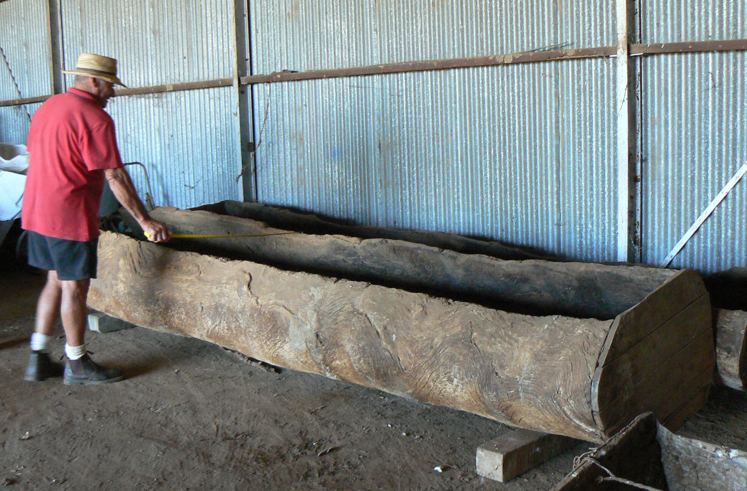Desmond Wykes measuring the feed trough, Photo by Nicole McLennan, National Museum of Australia