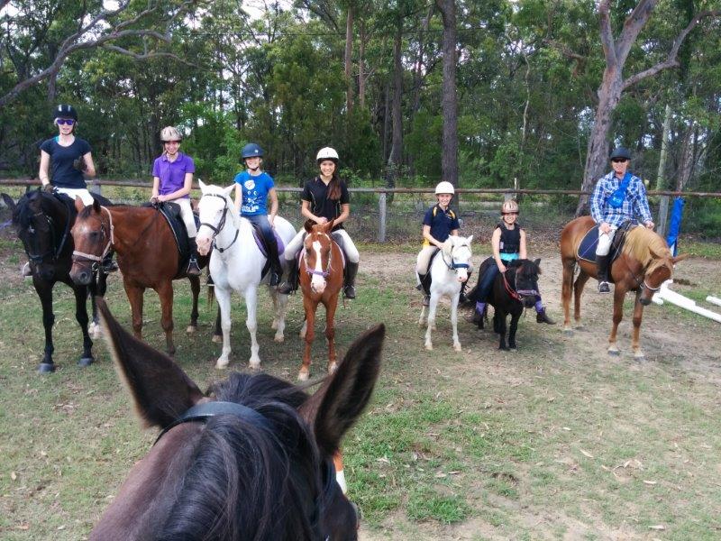 Our motley crew of assorted horses . At a recent birthday party, many of our riding friends joined in with the fun. Pictured left to right, our nieces Warm-blood “Salvadore, old quarter-horse “Huckleberry”, athletic appaloosa “Apollo”, bouncy half arab “Toby”, baby Welsh Pony “Monte”, darling Shetland” Dubbo” and young cross stock/ quarter-horse “Archie”. The ears belong to “Sebastian” our Fresian cross. Image courtesy Margrete Erling.