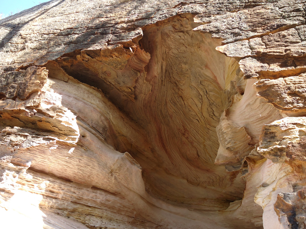 Pilliga Sandstone