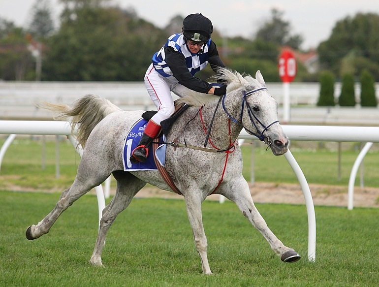 Franshar Park K Shar winning the inaugural Shadwell Arabian Mile at Caulfield Racecourse. Photo by Neil Murray.