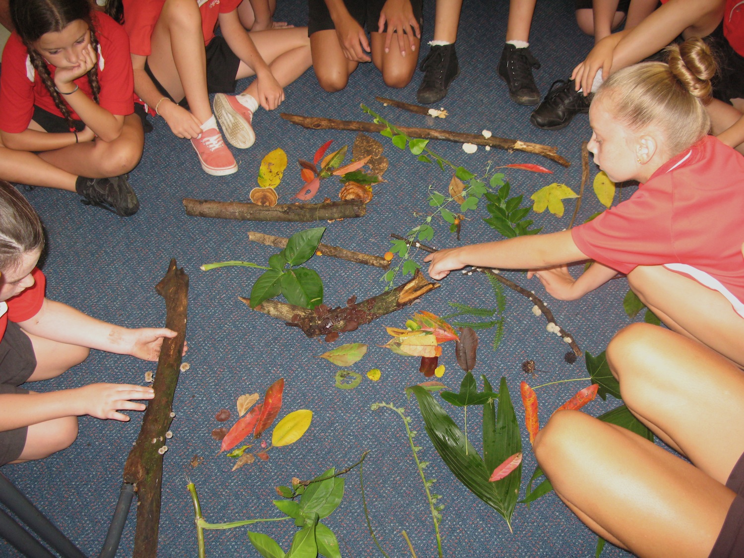 Nambucca Heads Public School investigating forest textures. Photo: Bryony Anderson.