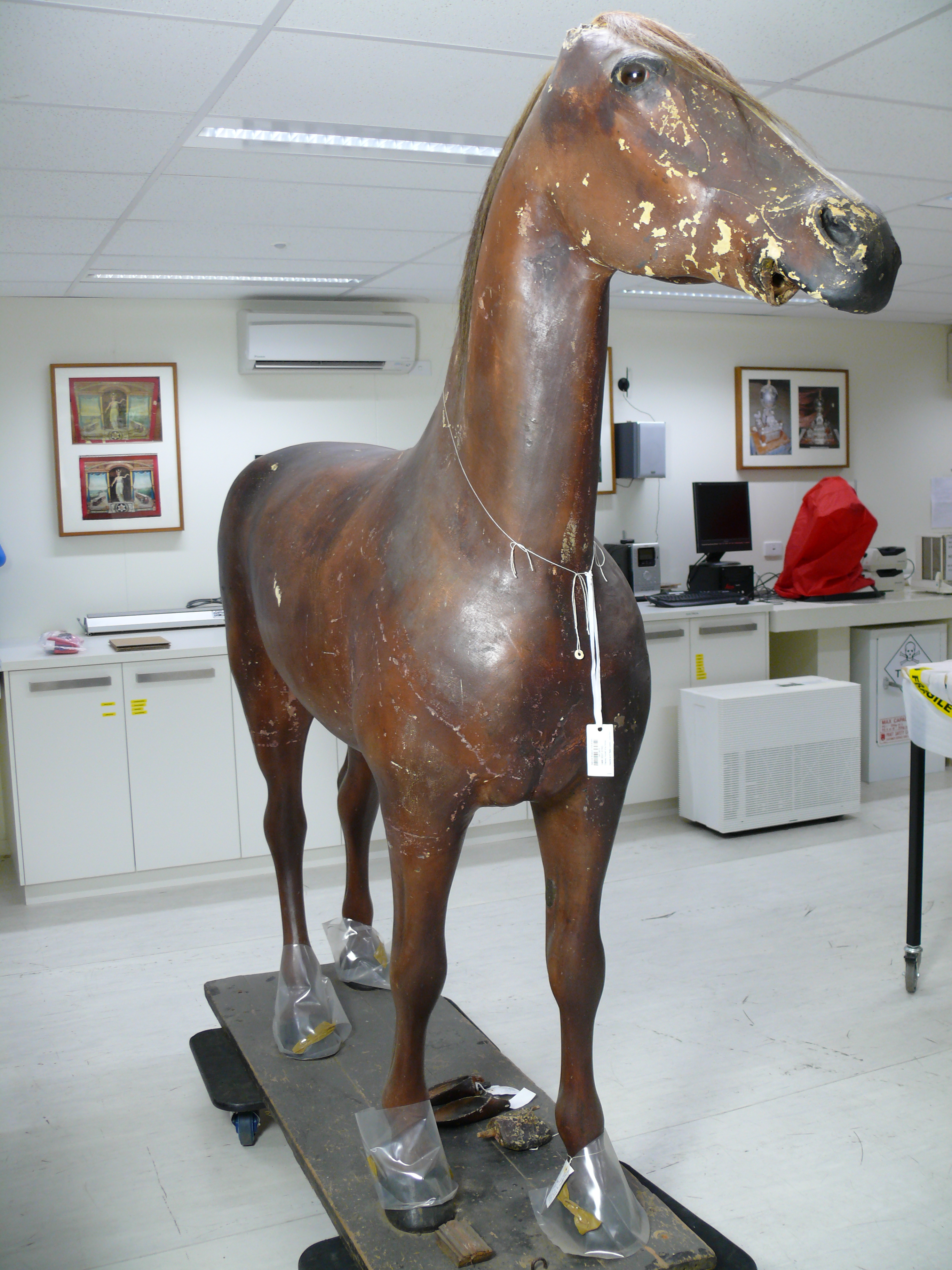 horse mannequin standing in lab