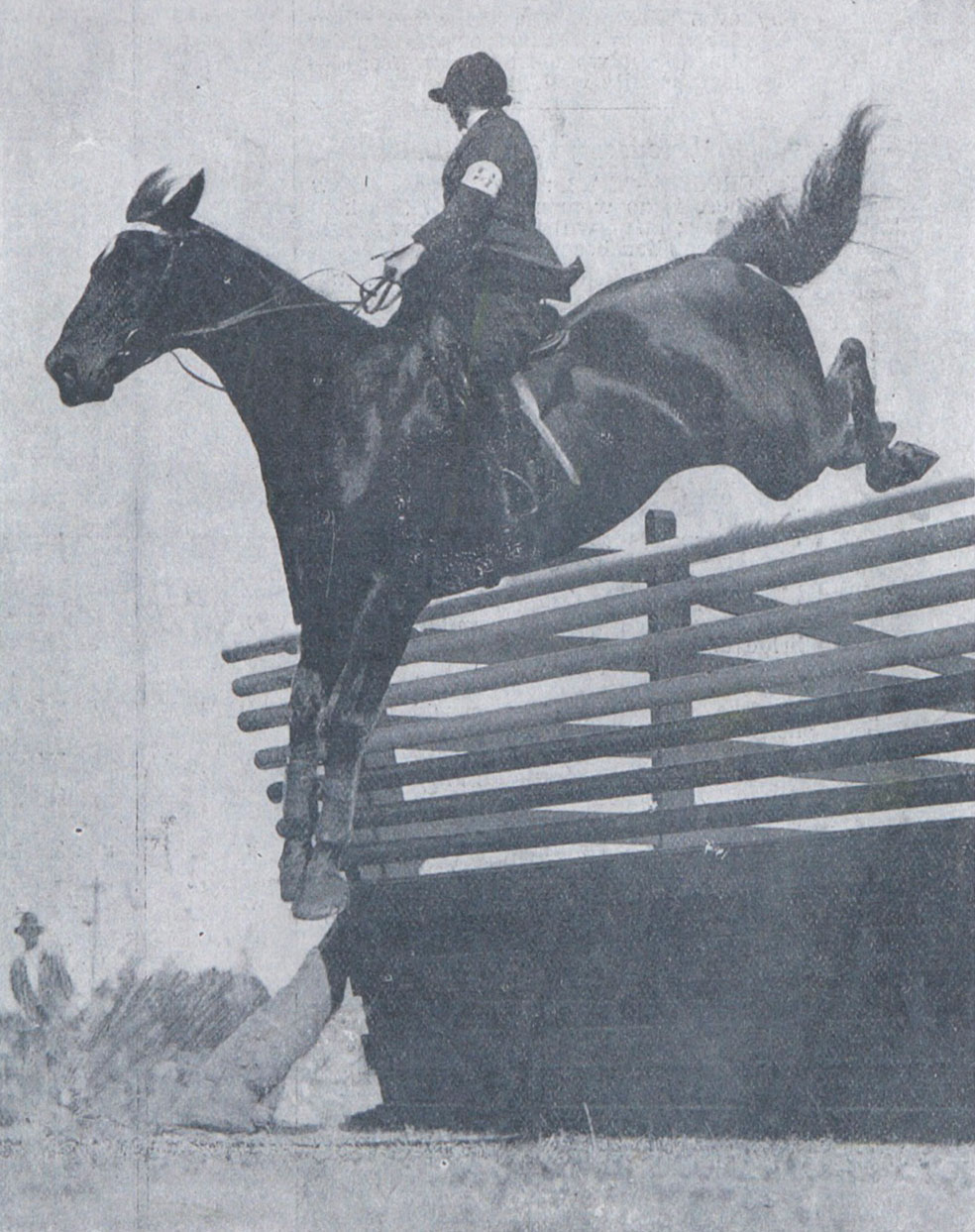 Woman and horse jumping a fence