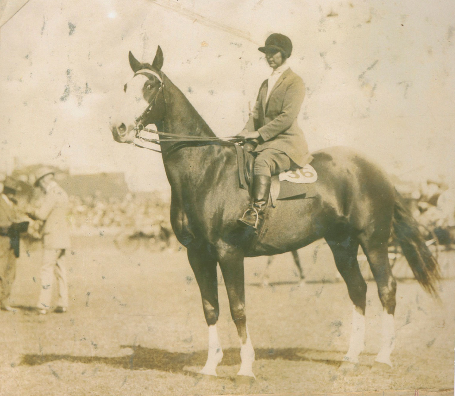 Woman on a horse