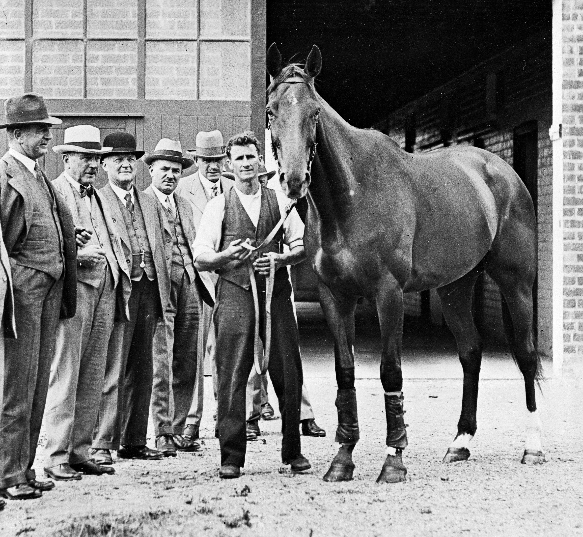 Phar Lap with strapper Tommy Woodcock and other admirers, 1931. By Charles P S Boyer (http://natlib.govt.nz/records/23120509) [Public domain], via Wikimedia Commons