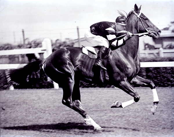 Phar Lap with jockey Jim Pike at Flemington racecourse, around 1930. Photograph by Charles Daniel Pratt, 1893-1968 [Public domain], via Wikimedia Commons