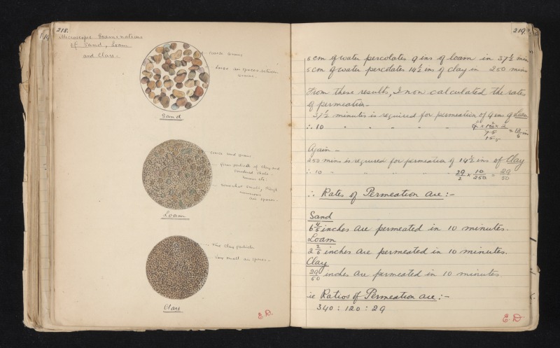 Illustrations of soil samples under the microscope in Germaine Joplin’s ‘Botany’ exercise book, submitted for her School Leaving Certificate in 1925. Image courtesy the Joplin Family. 