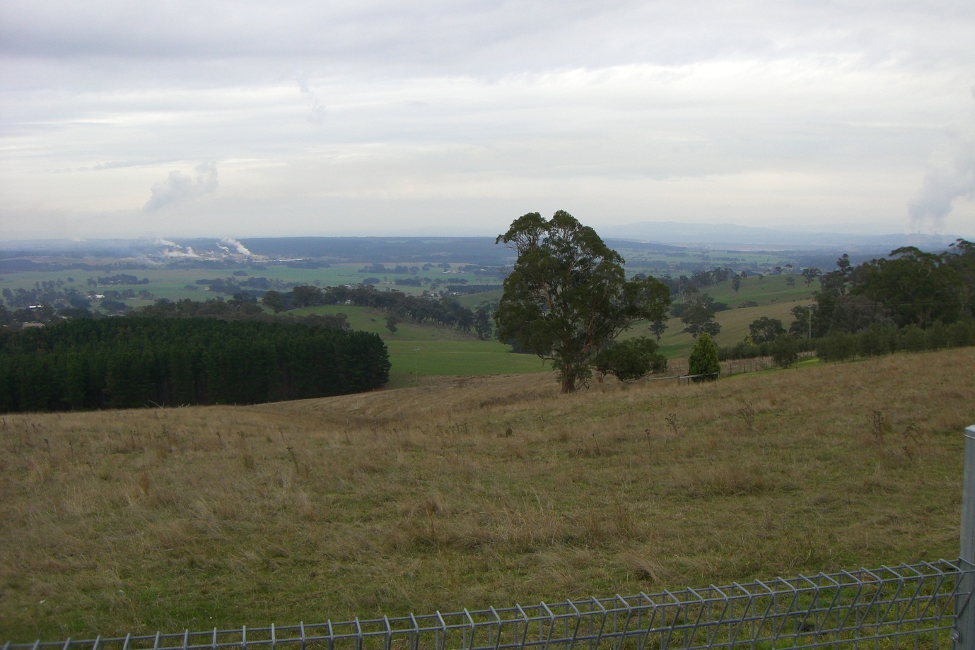 Looking south from Tyer's Lookout over the heavily cleared Gippsland plains.  Photo by Kylie Carman-Brown.
