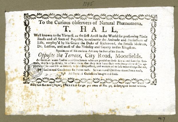 Trade card of Thomas Hall, taxidermist, 1795. Photo: © The Trustees of the British Museum