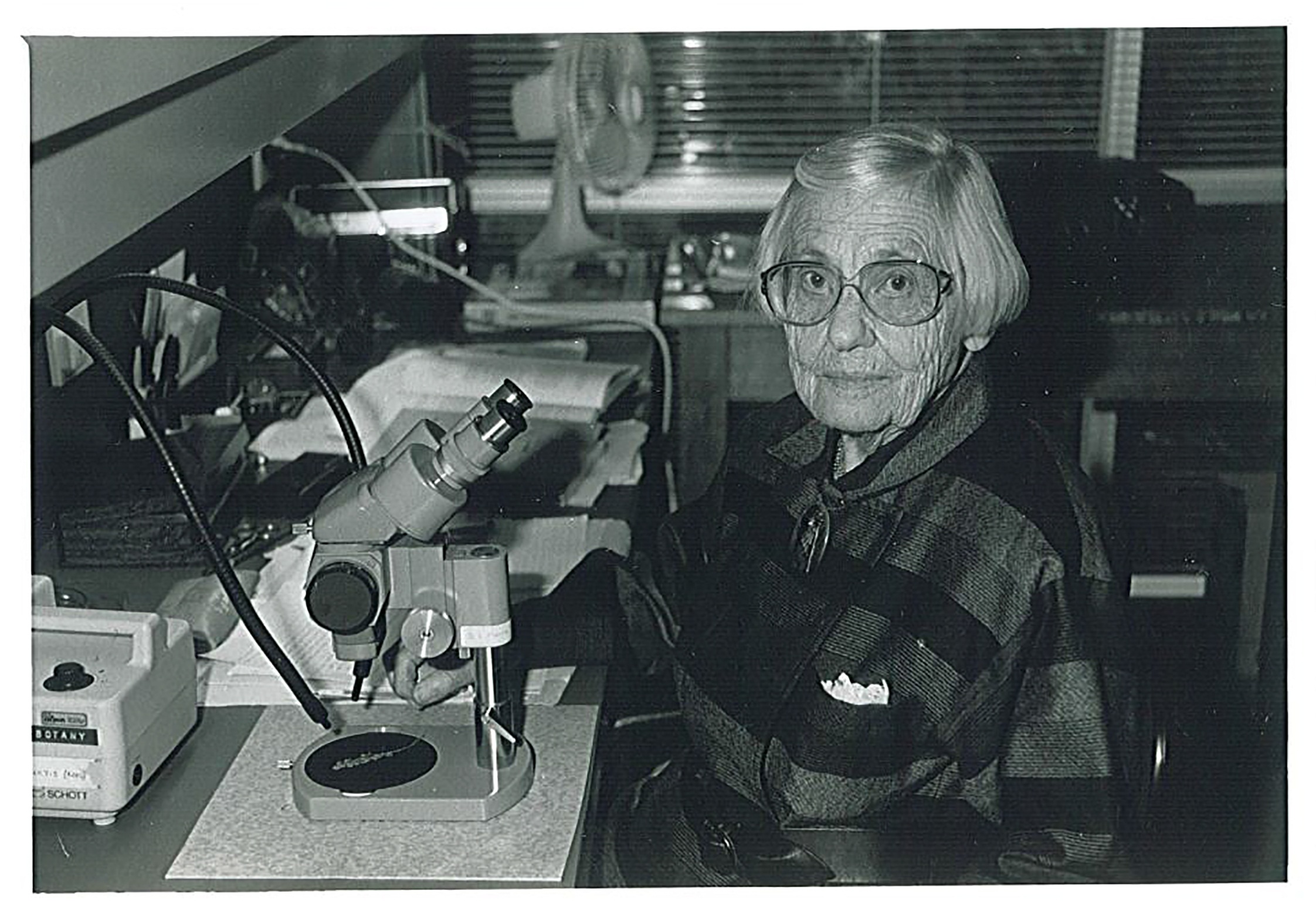 Winifred Curtis at work in the Tasmanian Herbarium, 1969. University of Tasmania.