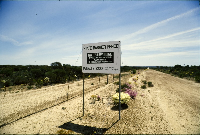 The State Barrier Fence in Frank Hahn National Park, photographed by Richard Woldendorp about 1996. State Library of Western Australia 135035PD