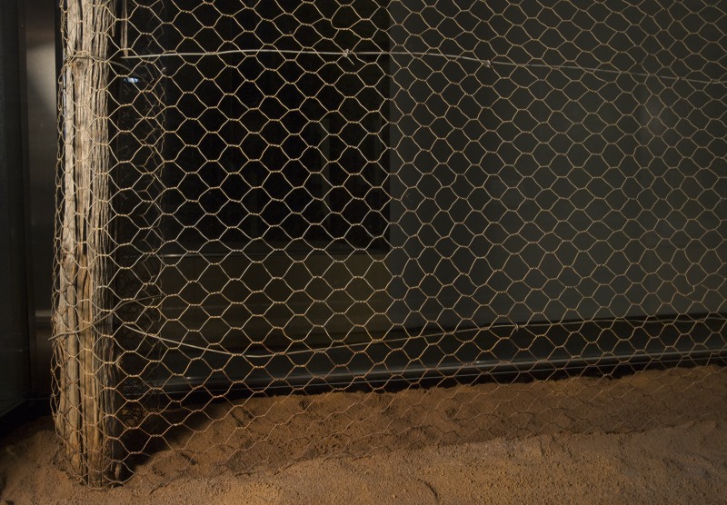 The Museum’s section of Fence No.2 installed in the Old New Land gallery, with wire netting set into the ‘earth’ of the display case. Burying netting into the ground to prevent rabbits passing underneath was an important step in the process of fence-building. Photo by George Serras, National Museum of Australia.