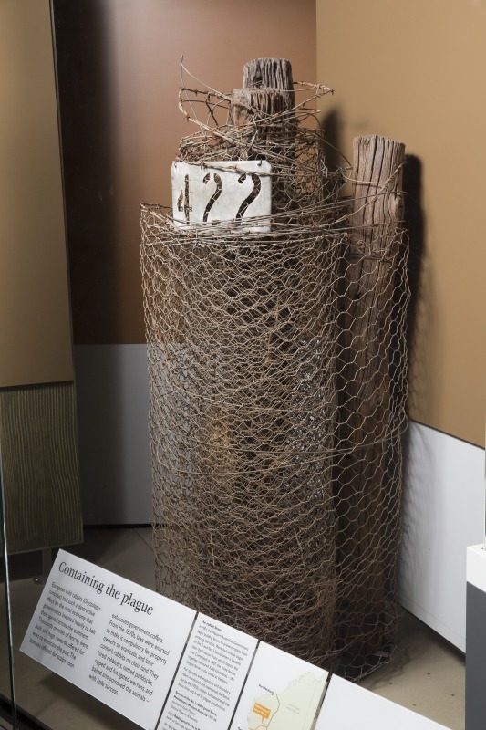Rolled section of Western Australia’s No.1 Rabbit-Proof Fence with mileage marker, Meekatharra region, 1905-1906, in the Museum’s Old New Land gallery. Photo by George Serras, National Museum of Australia.