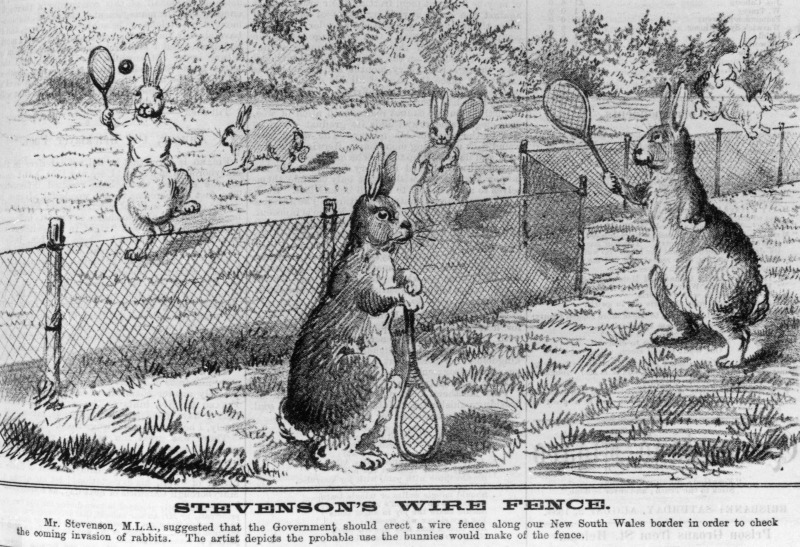 A cartoonist’s response to the proposal for a rabbit proof fence in Queensland, 1884. Queensland’s first fence started near the Warrego River in 1886 and by 1890 had almost reached Haddon Corner on the South Australian border. State Library of Queensland, Image no. 185963