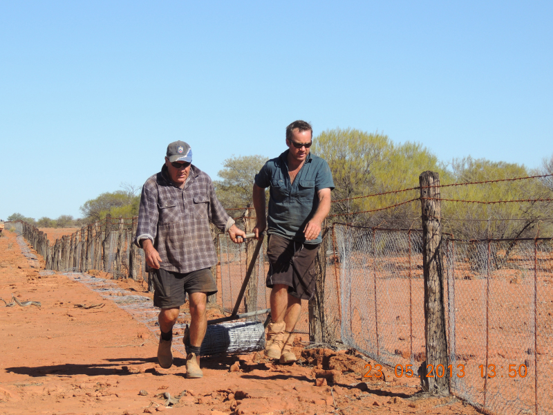 Adding lap-wire along the base of Western Australia’s State Barrier Fence to prevent intrusion from wild dogs, 2013. Courtesy Department of Agriculture and Food, Western Australia. Copyright © Western Australian Agriculture Authority. Photo by Craig Robins. 