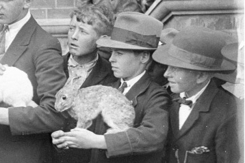 australian hat made of rabbit fur felt