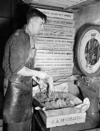 Packing rabbit carcasses at McCraith's for export, 1945. Photo: National Archives of Australia A1200, L2650