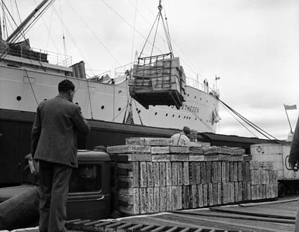 Loading rabbits for export in the hold of SS Stratheden. Photographed in 1945 by J Gallagher.National Archives of Australia A1200, L2658 