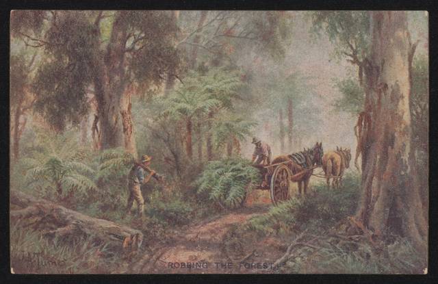 Postcard, 'Robbing the Forest', by James Alfred Turner, 1906, National Museum of Australia