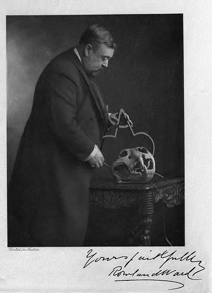 Rowland Ward, 1903. From Wikimedia Commons.