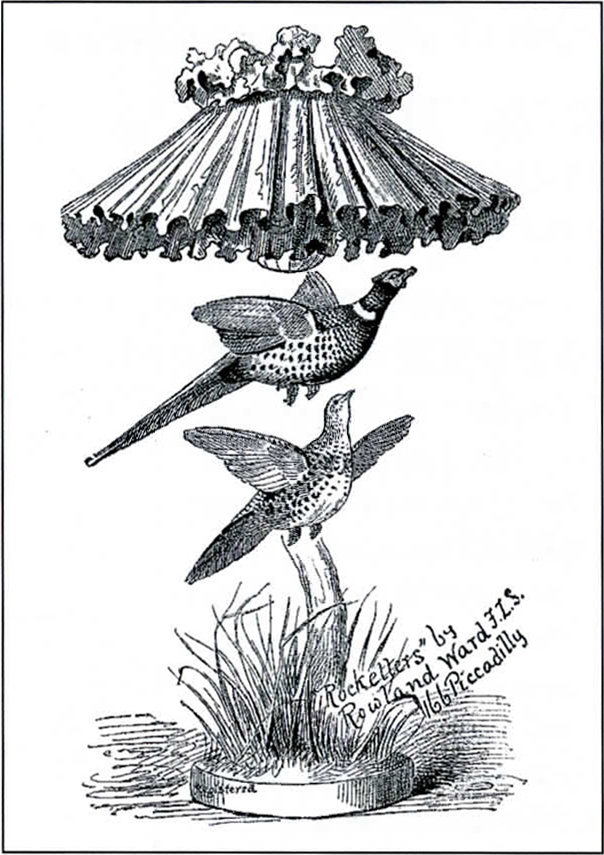 An advertisement for Rowland ward zoological lamps, from The Field, 1875. From Wikimedia Commons.